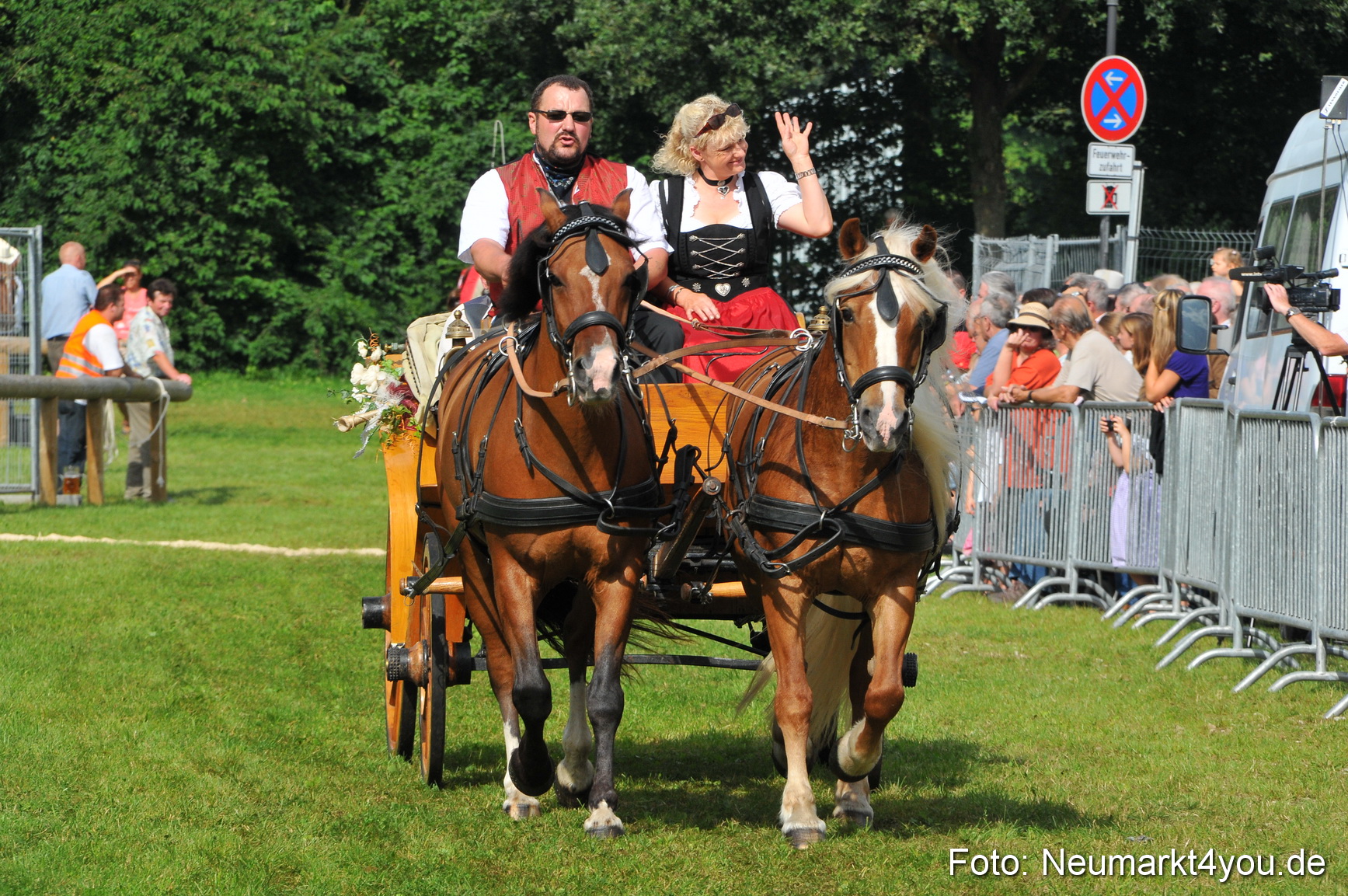 Pferdeschau Neumarkt 220811 0088