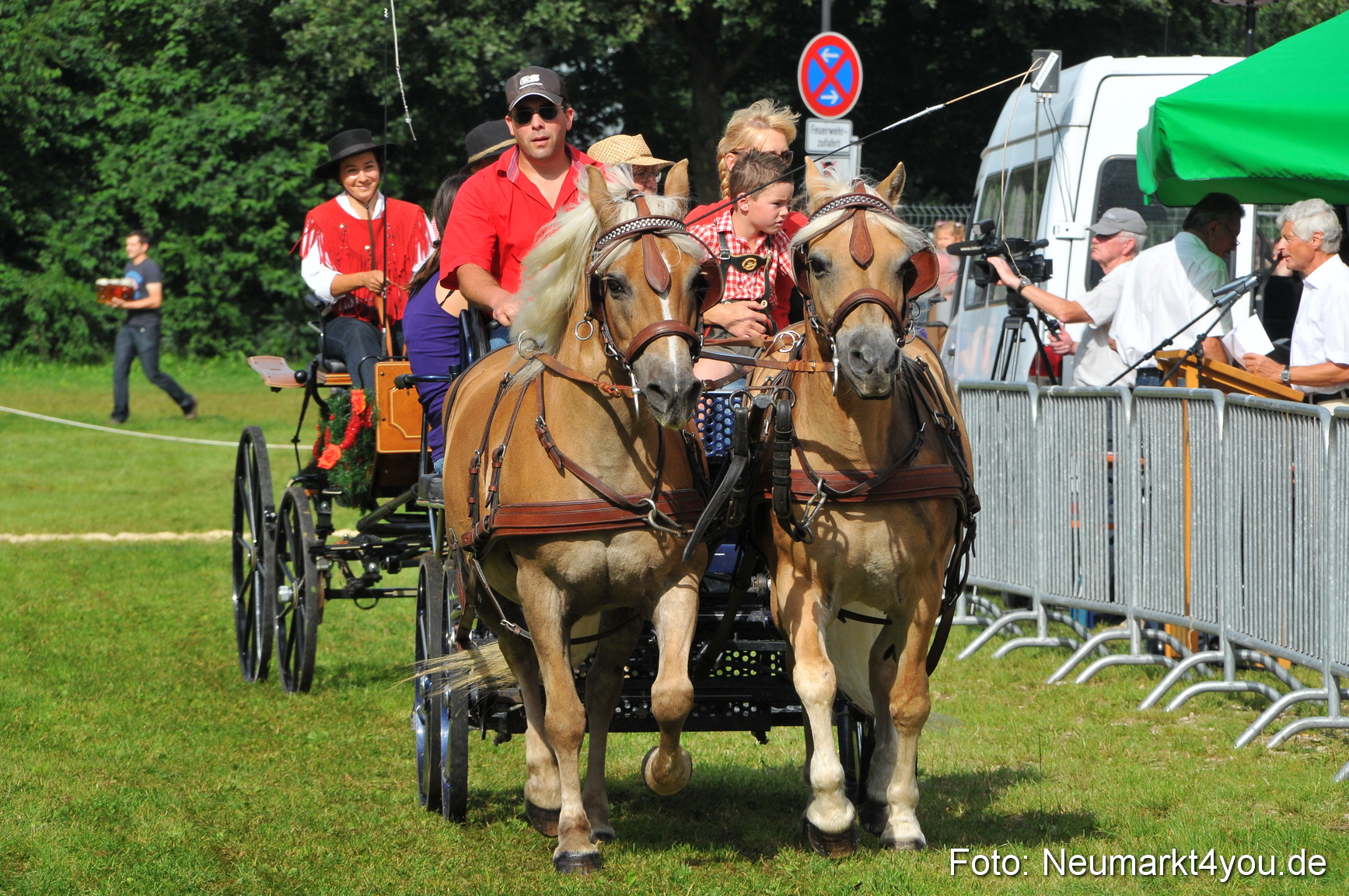 Pferdeschau Neumarkt 220811 0089