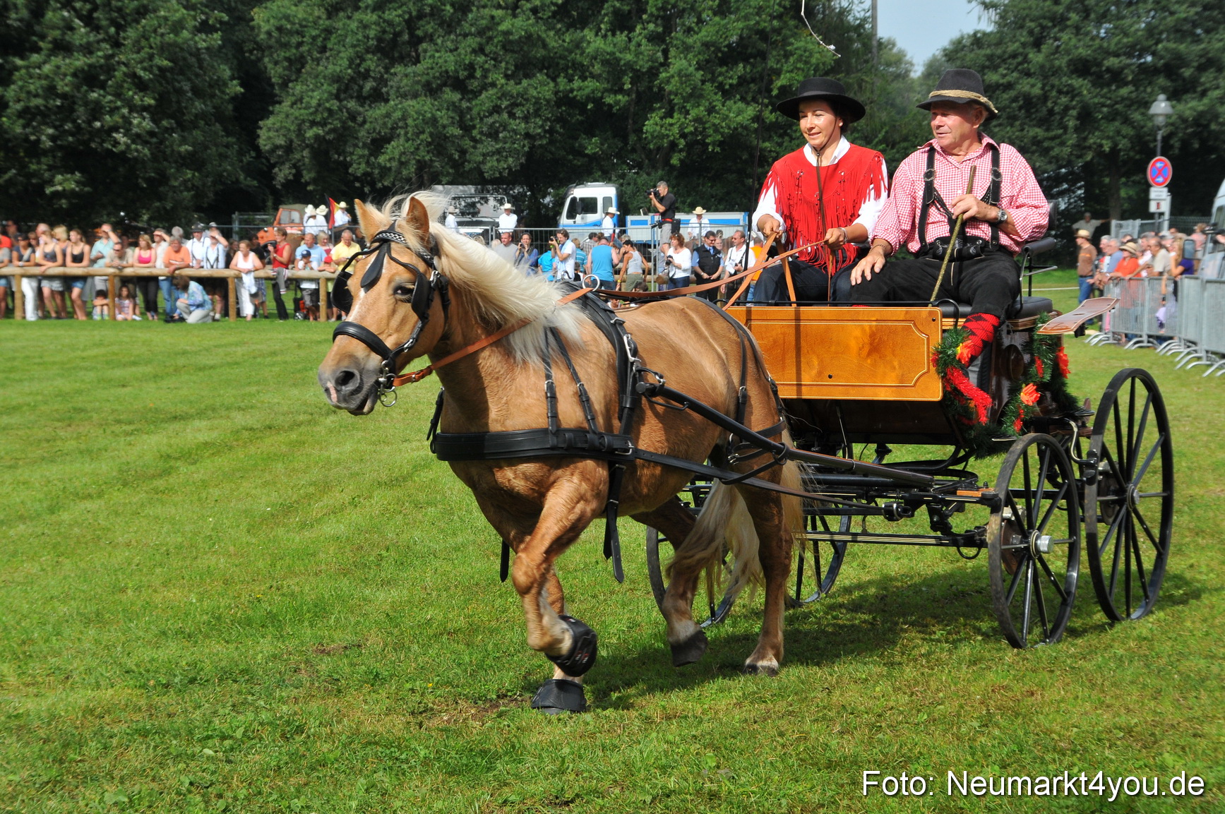 Pferdeschau Neumarkt 220811 0090