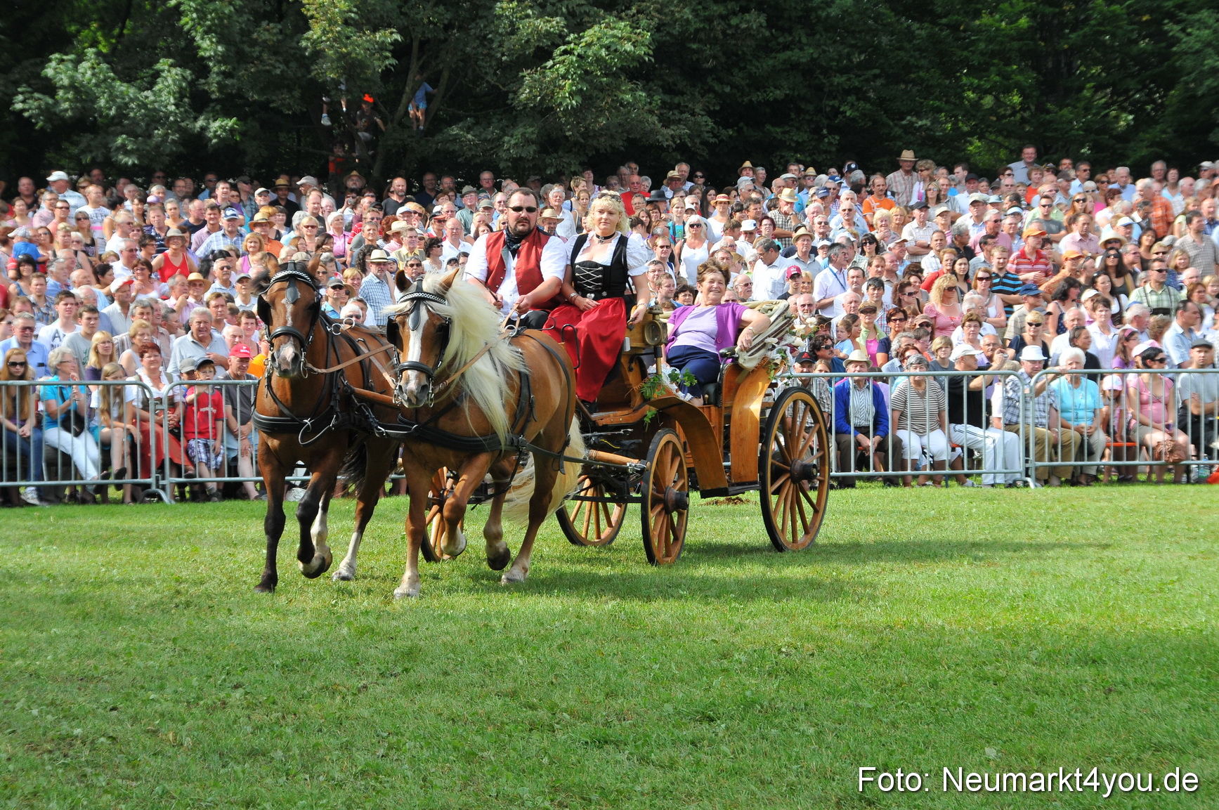 Pferdeschau Neumarkt 220811 0091