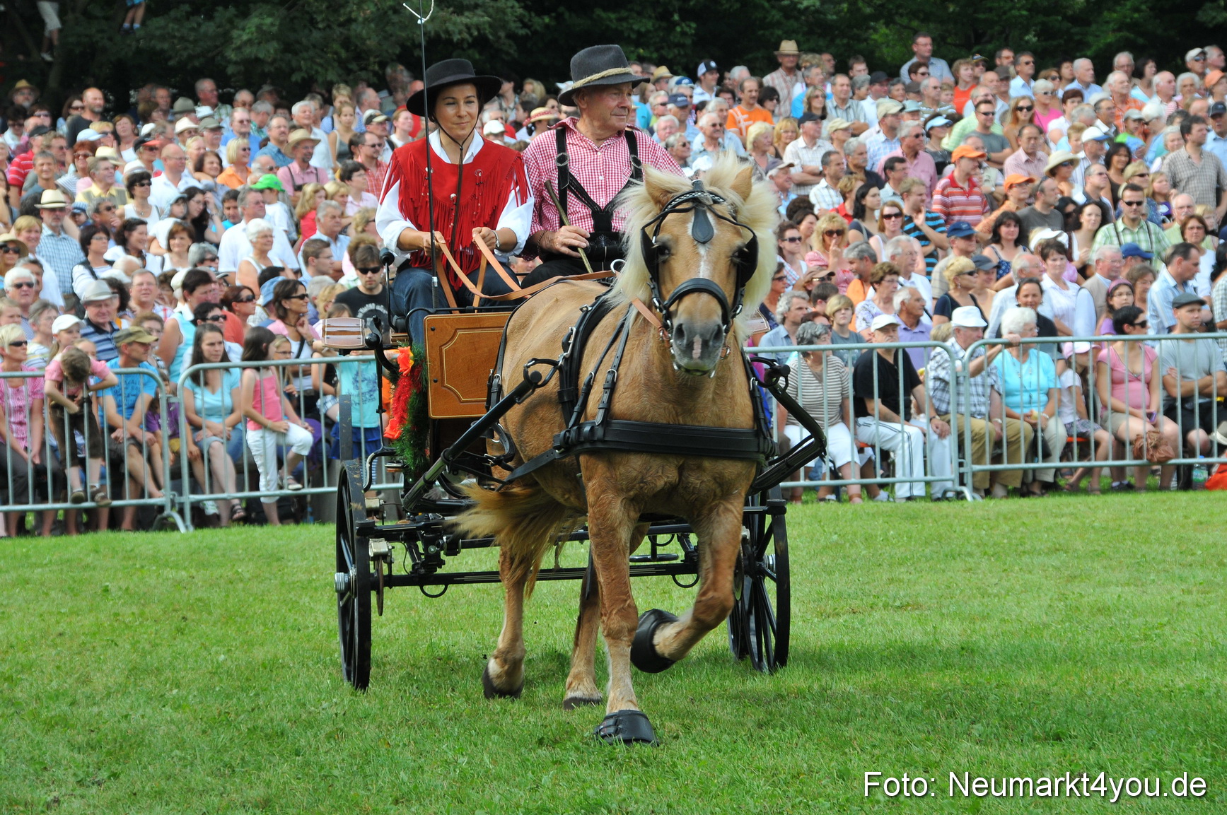 Pferdeschau Neumarkt 220811 0095