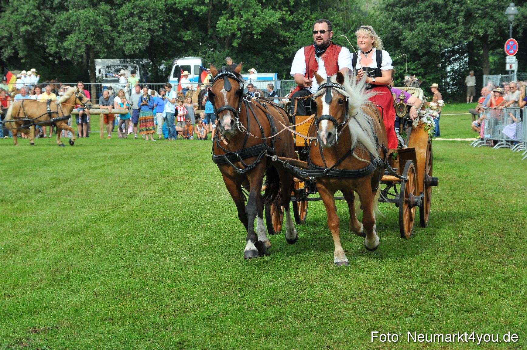 Pferdeschau Neumarkt 220811 0096