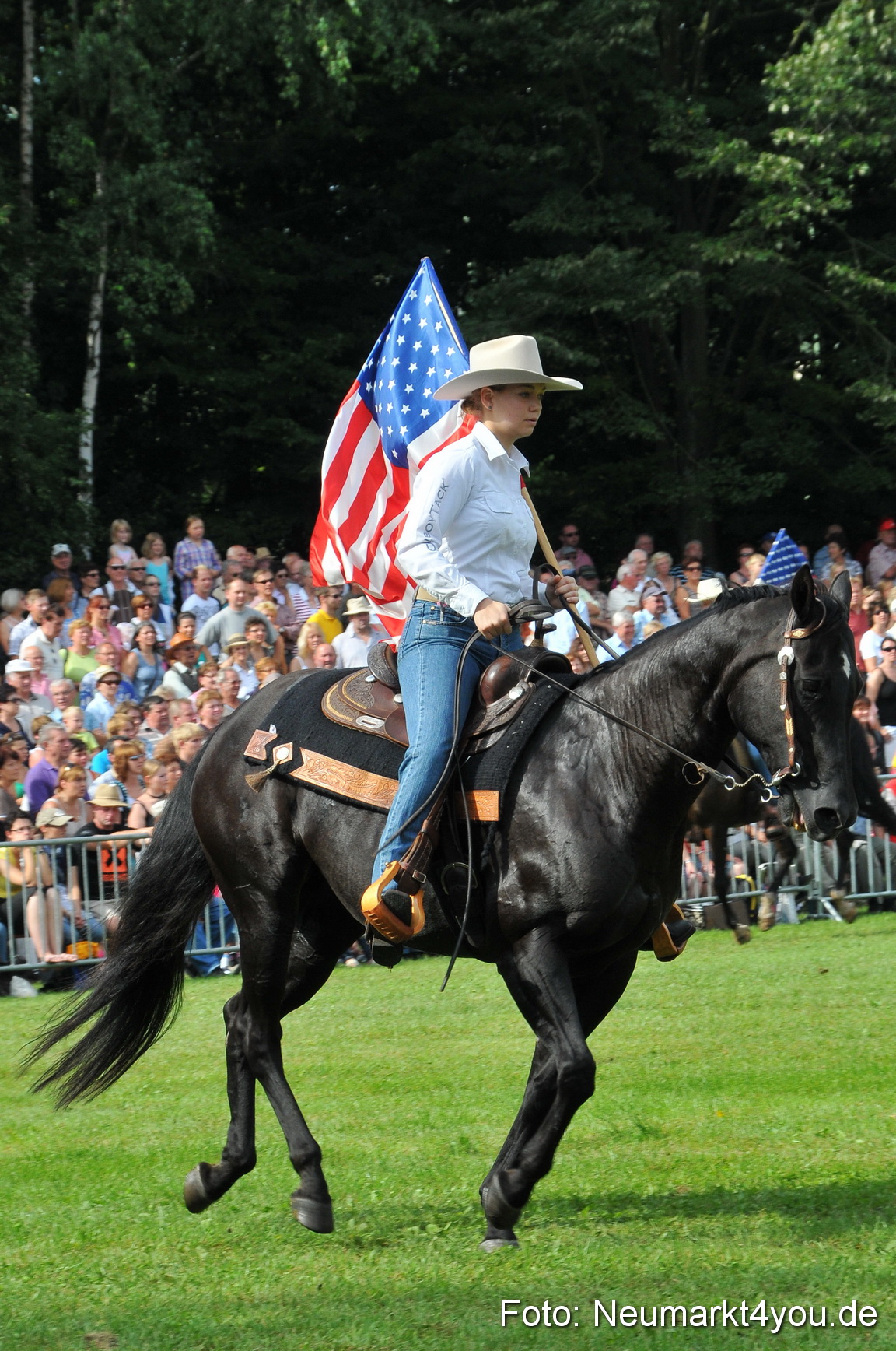Pferdeschau Neumarkt 220811 0105