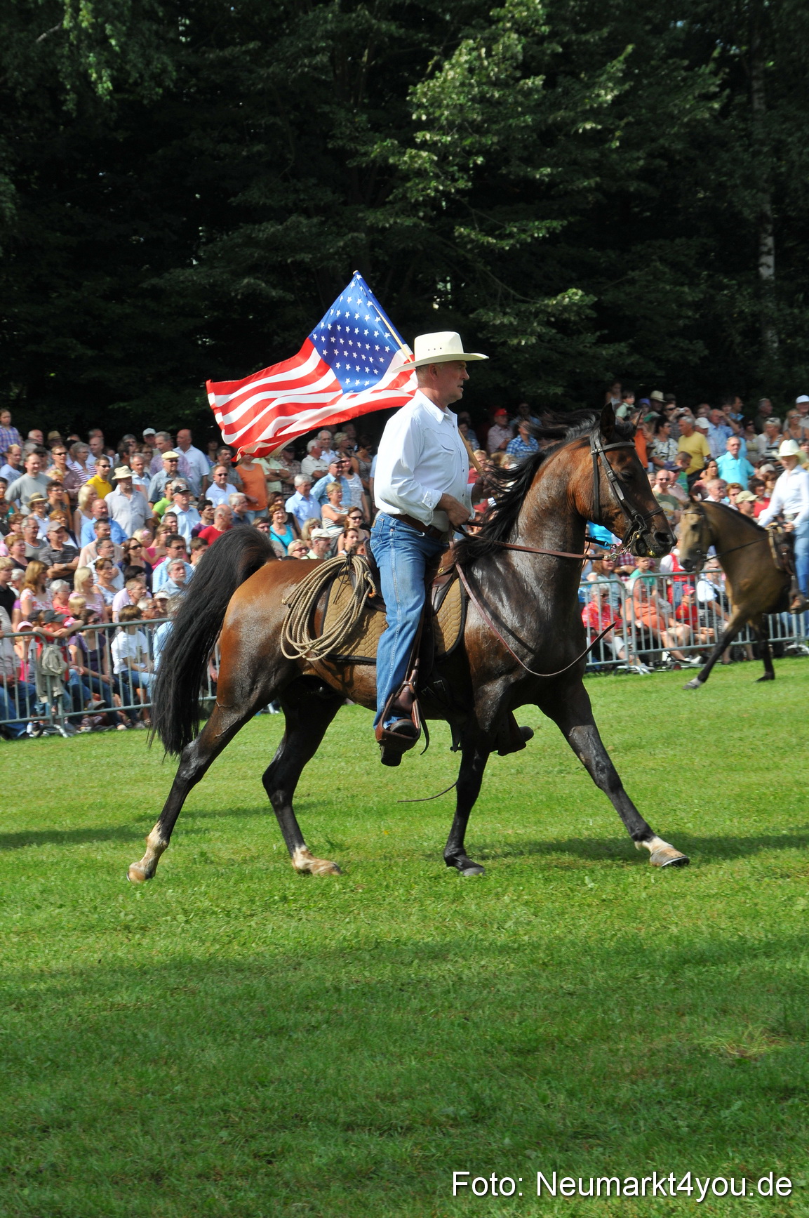 Pferdeschau Neumarkt 220811 0106