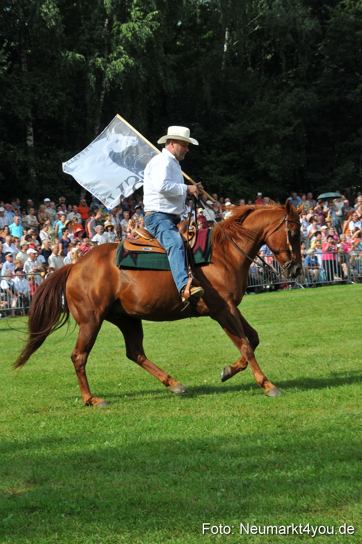 Pferdeschau Neumarkt 220811 0107