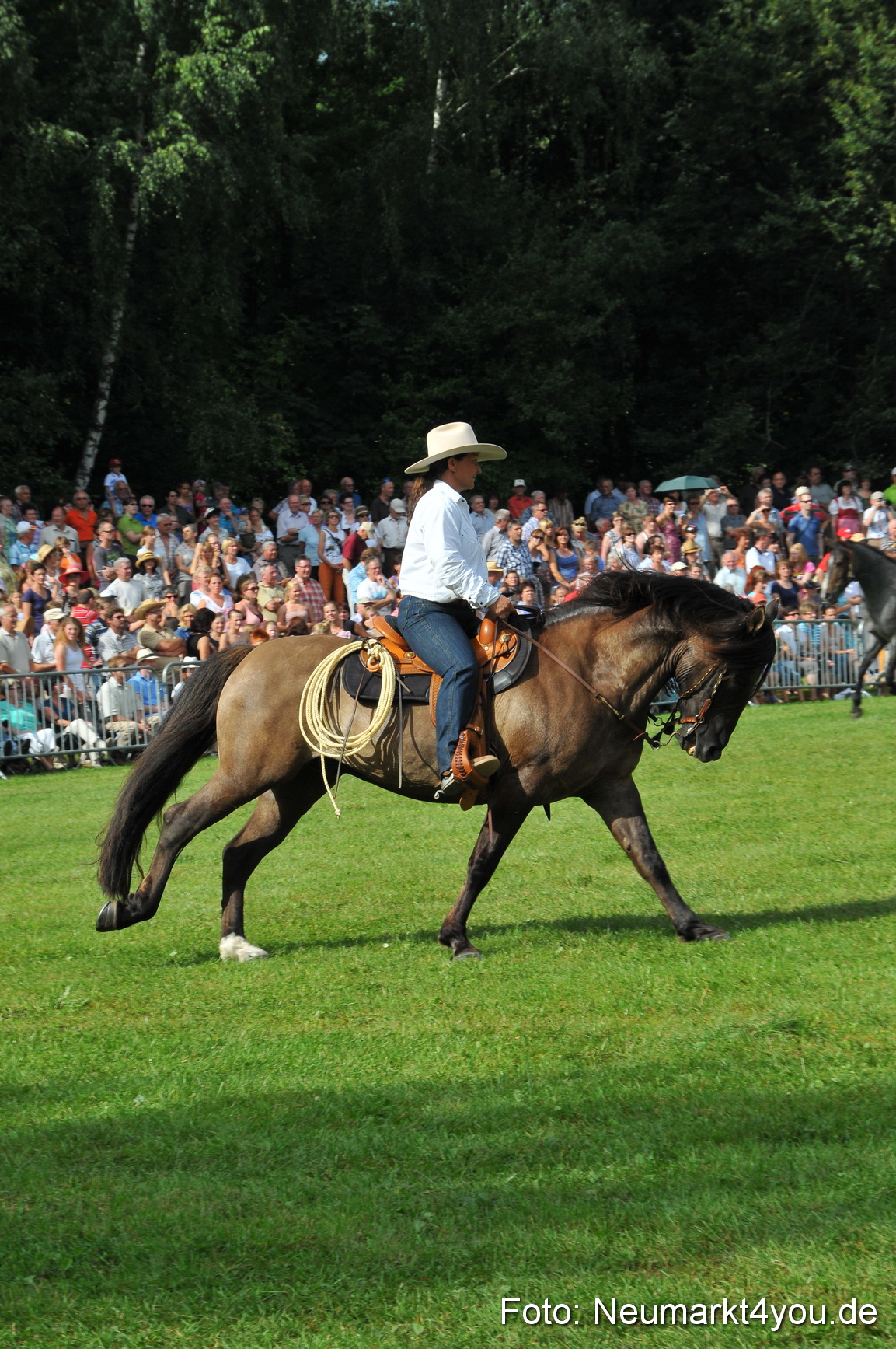 Pferdeschau Neumarkt 220811 0108