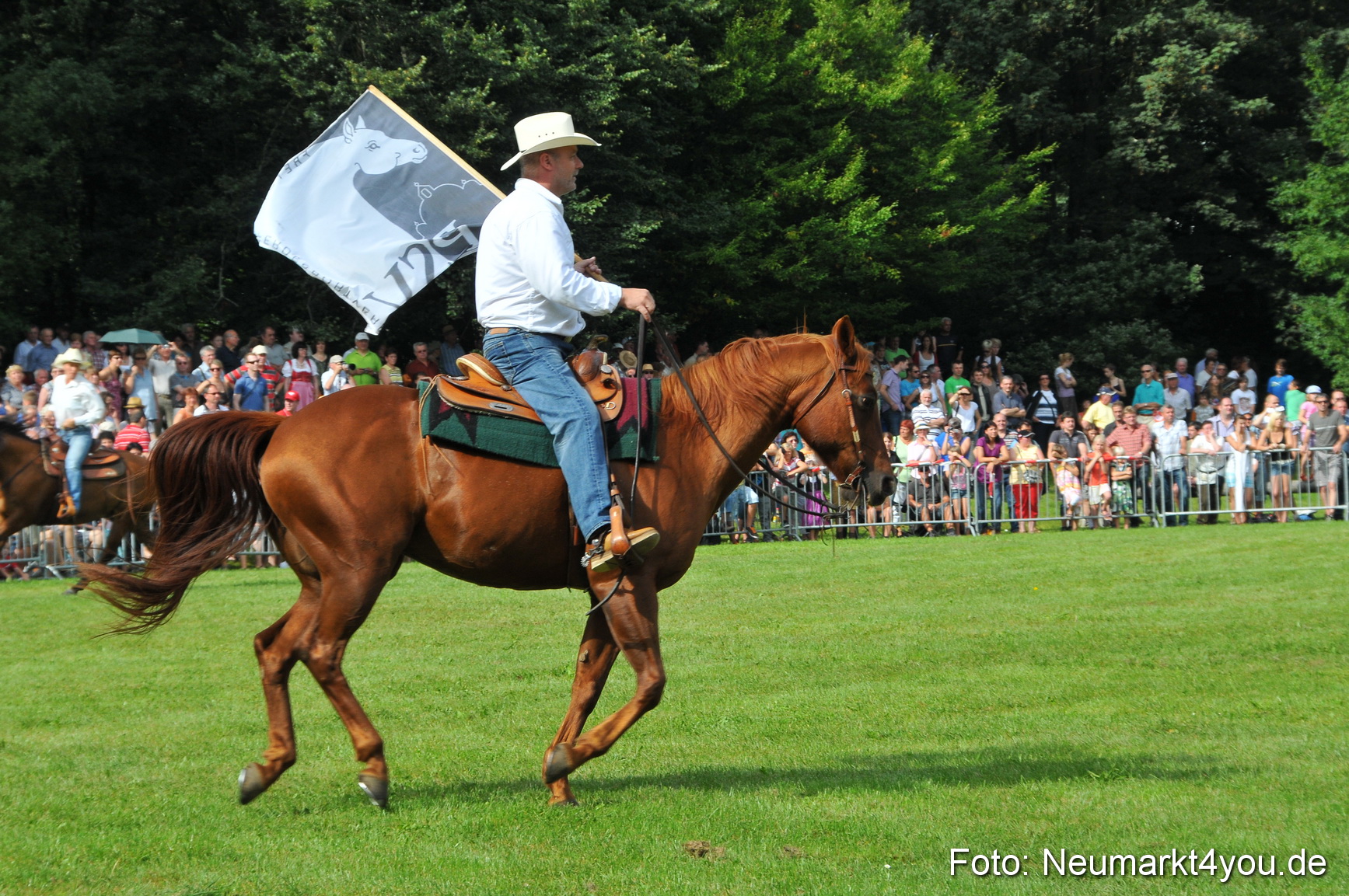 Pferdeschau Neumarkt 220811 0111