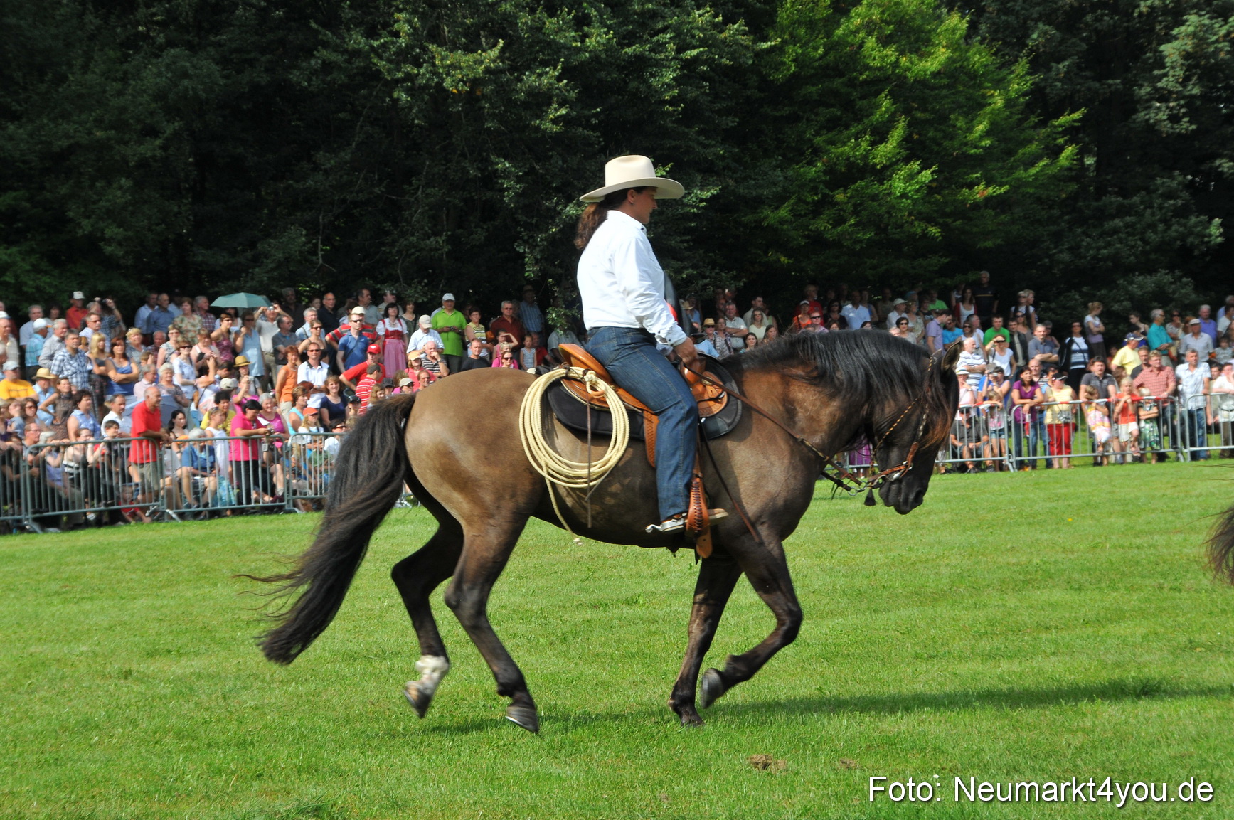 Pferdeschau Neumarkt 220811 0112