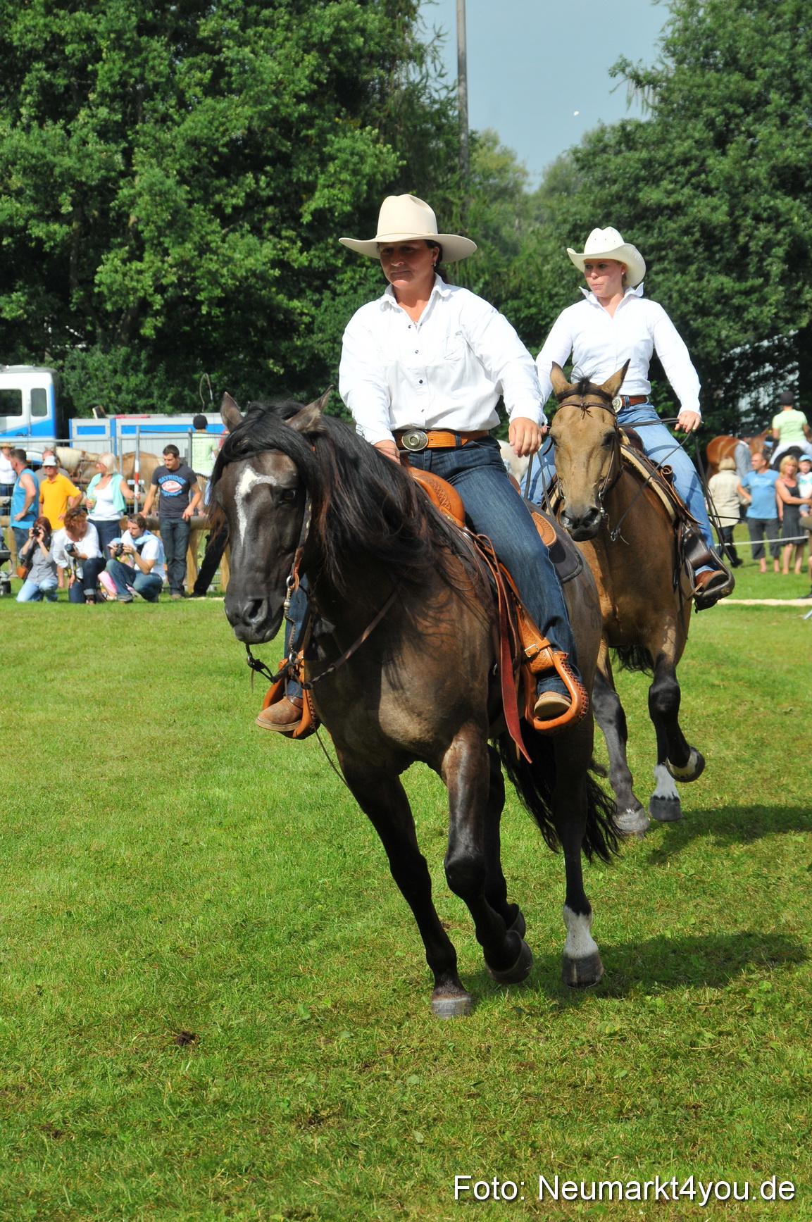 Pferdeschau Neumarkt 220811 0117