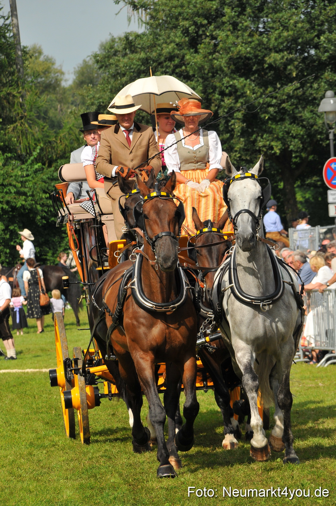 Pferdeschau Neumarkt 220811 0121