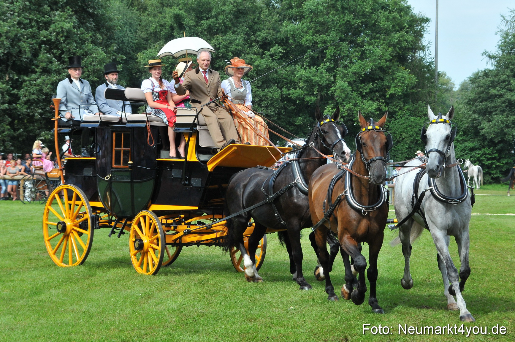 Pferdeschau Neumarkt 220811 0126