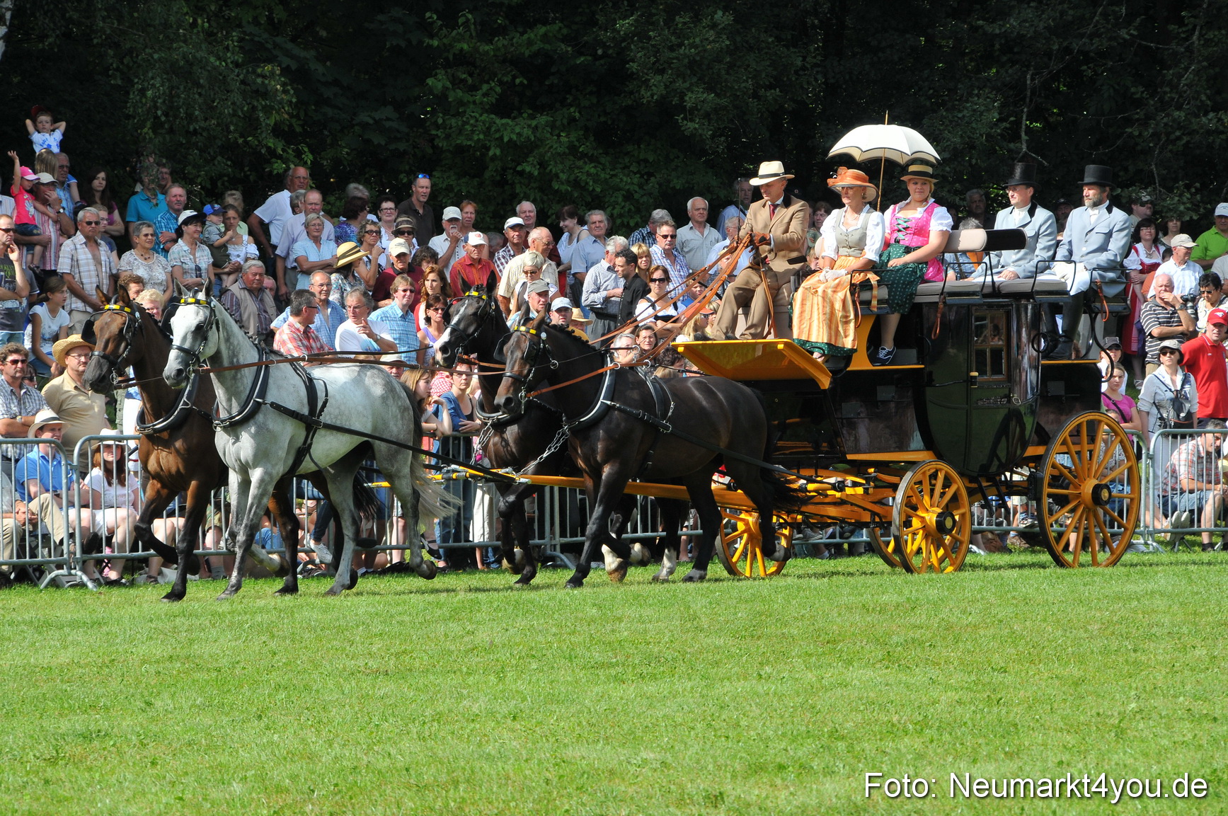 Pferdeschau Neumarkt 220811 0127