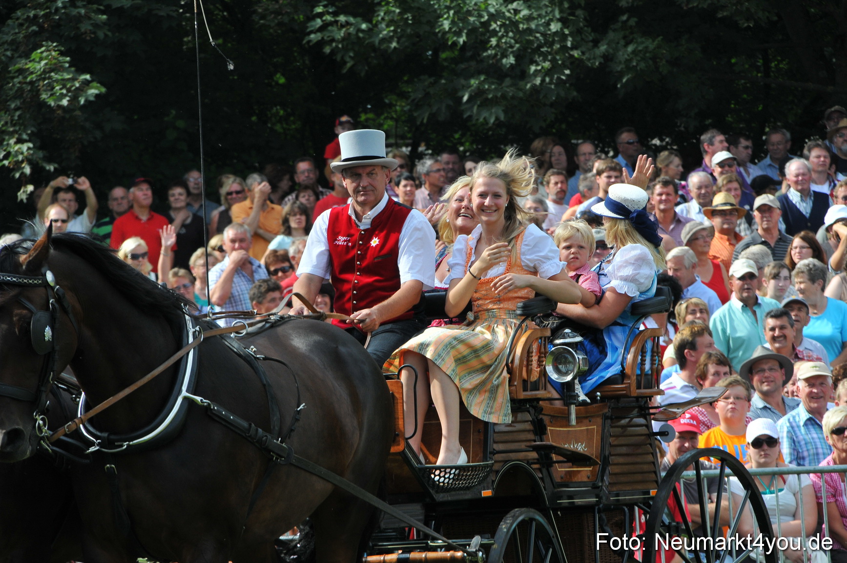 Pferdeschau Neumarkt 220811 0129