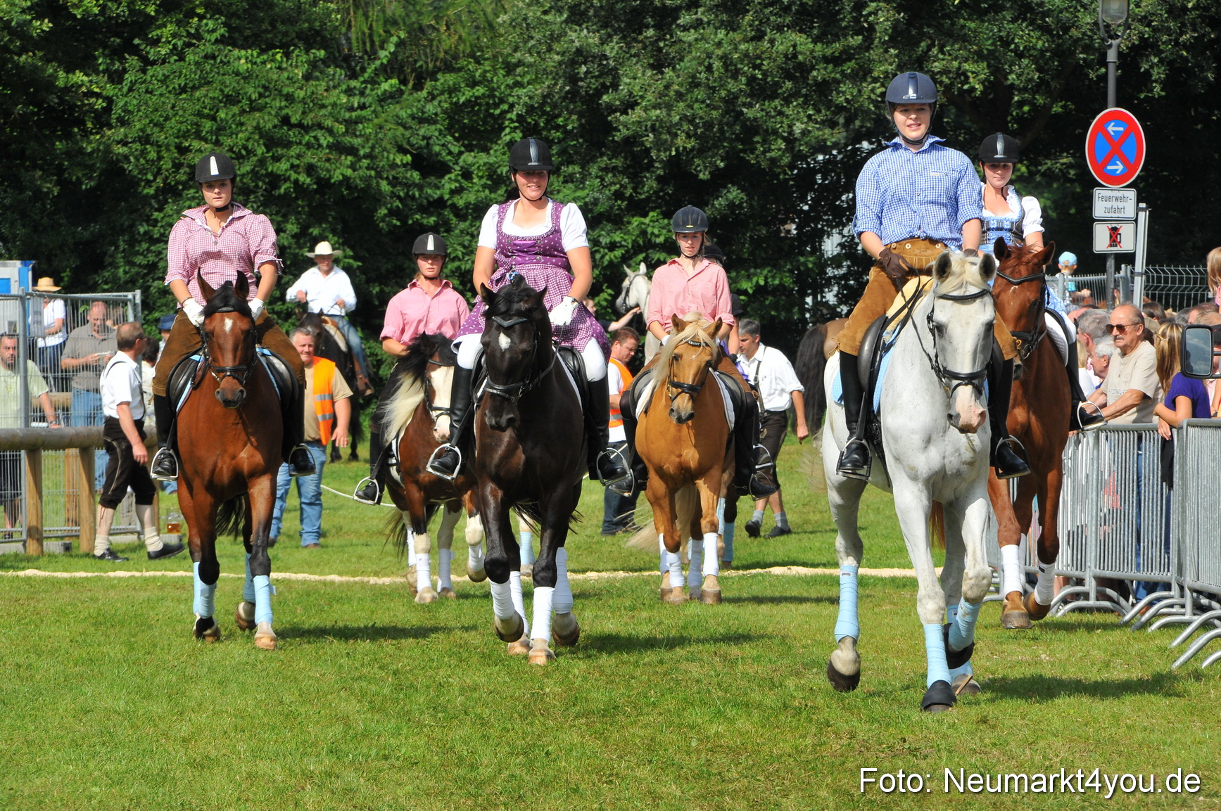Pferdeschau Neumarkt 220811 0131