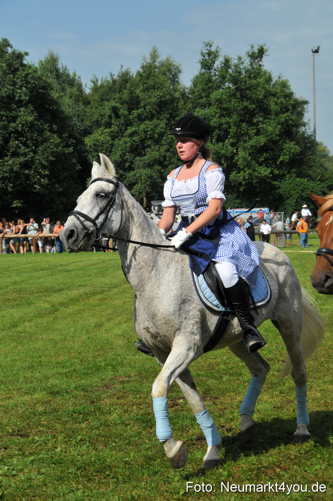 Pferdeschau Neumarkt 220811 0132
