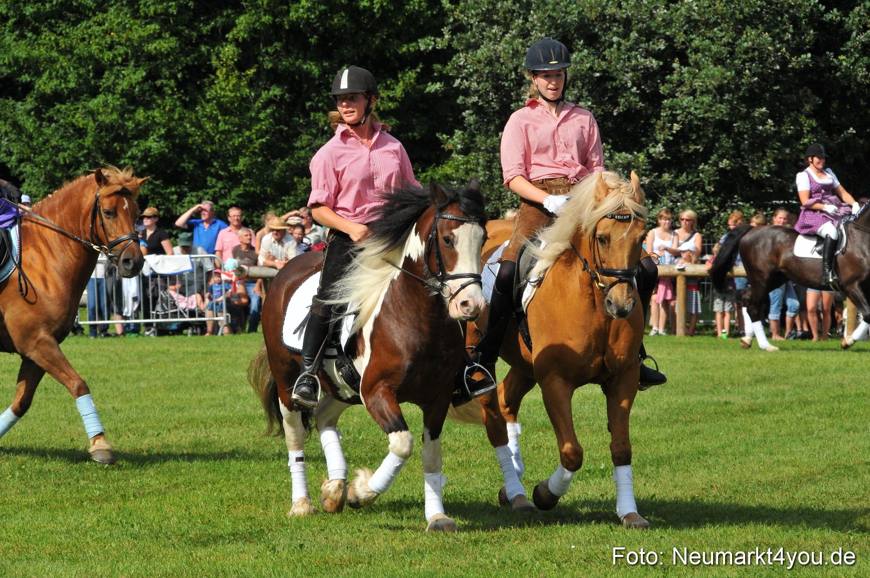 Pferdeschau Neumarkt 220811 0133