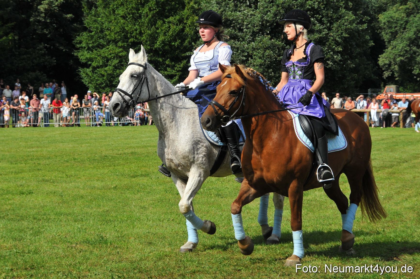 Pferdeschau Neumarkt 220811 0134