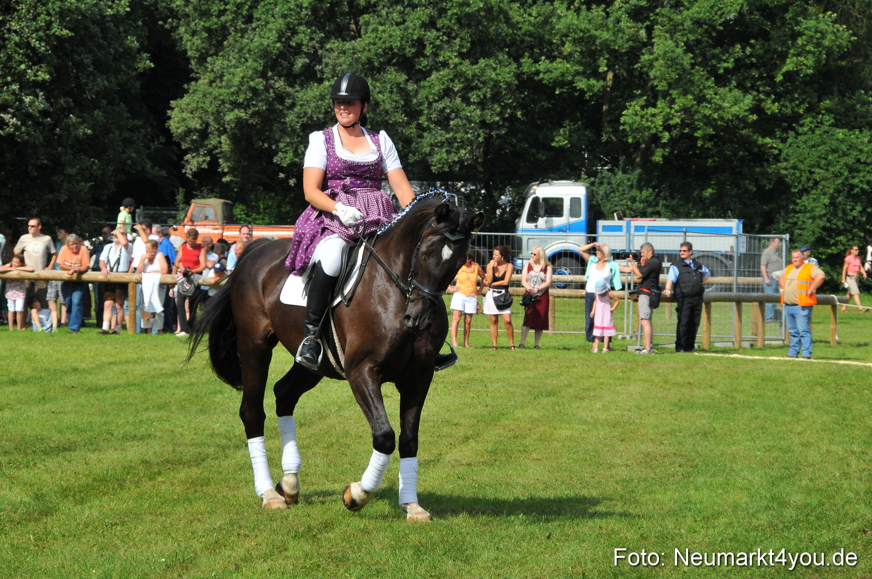 Pferdeschau Neumarkt 220811 0135