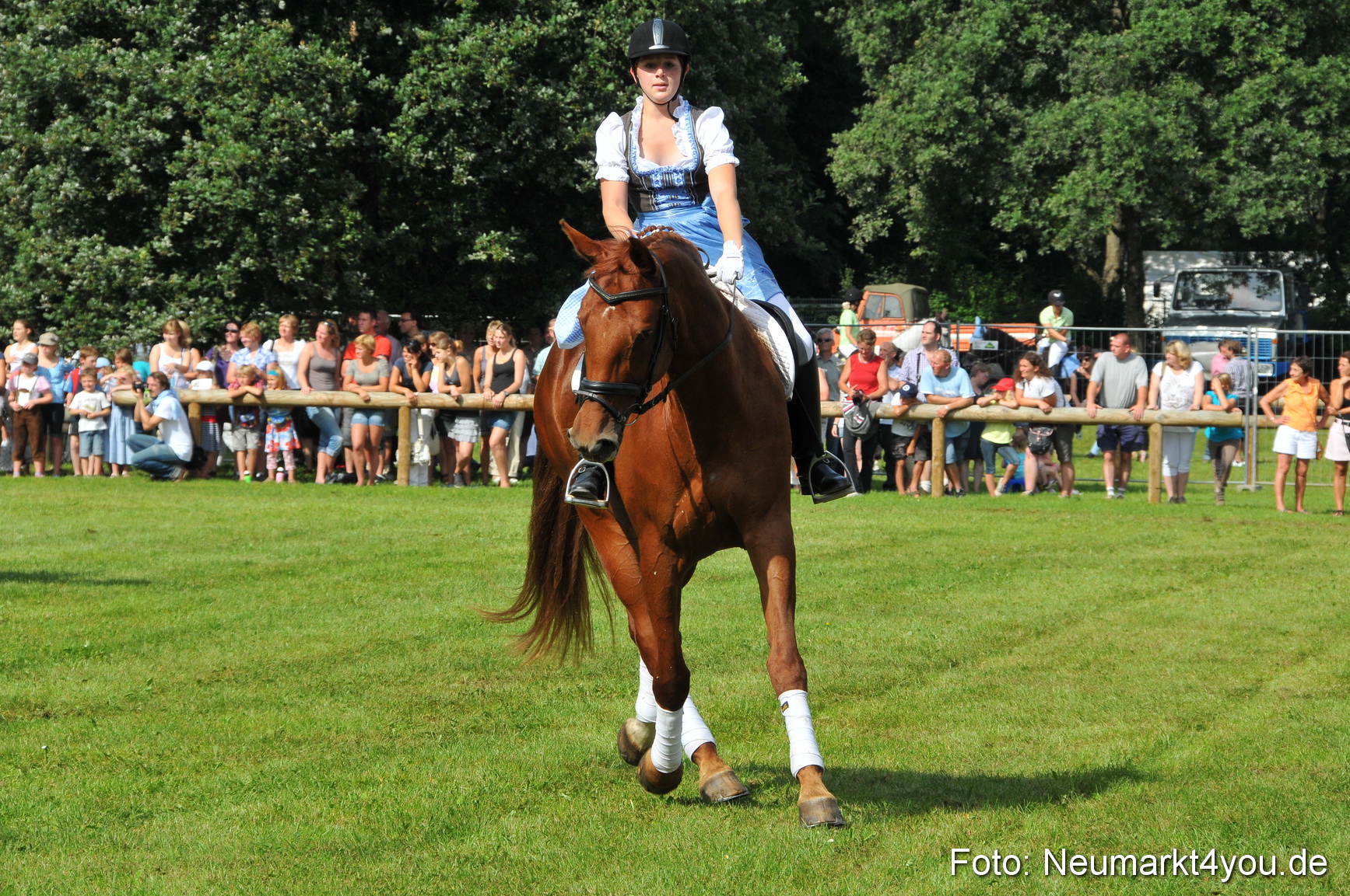 Pferdeschau Neumarkt 220811 0136