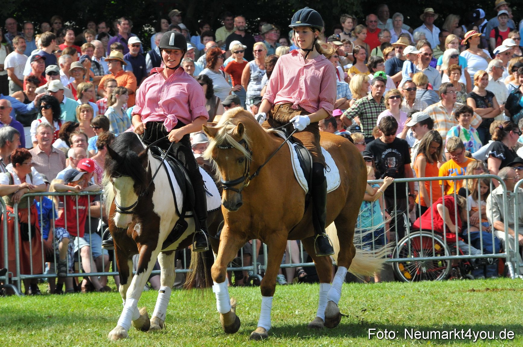 Pferdeschau Neumarkt 220811 0137
