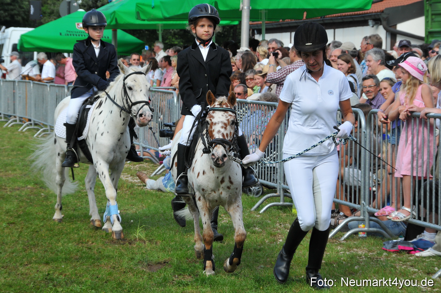 Pferdeschau Neumarkt 220811 0140