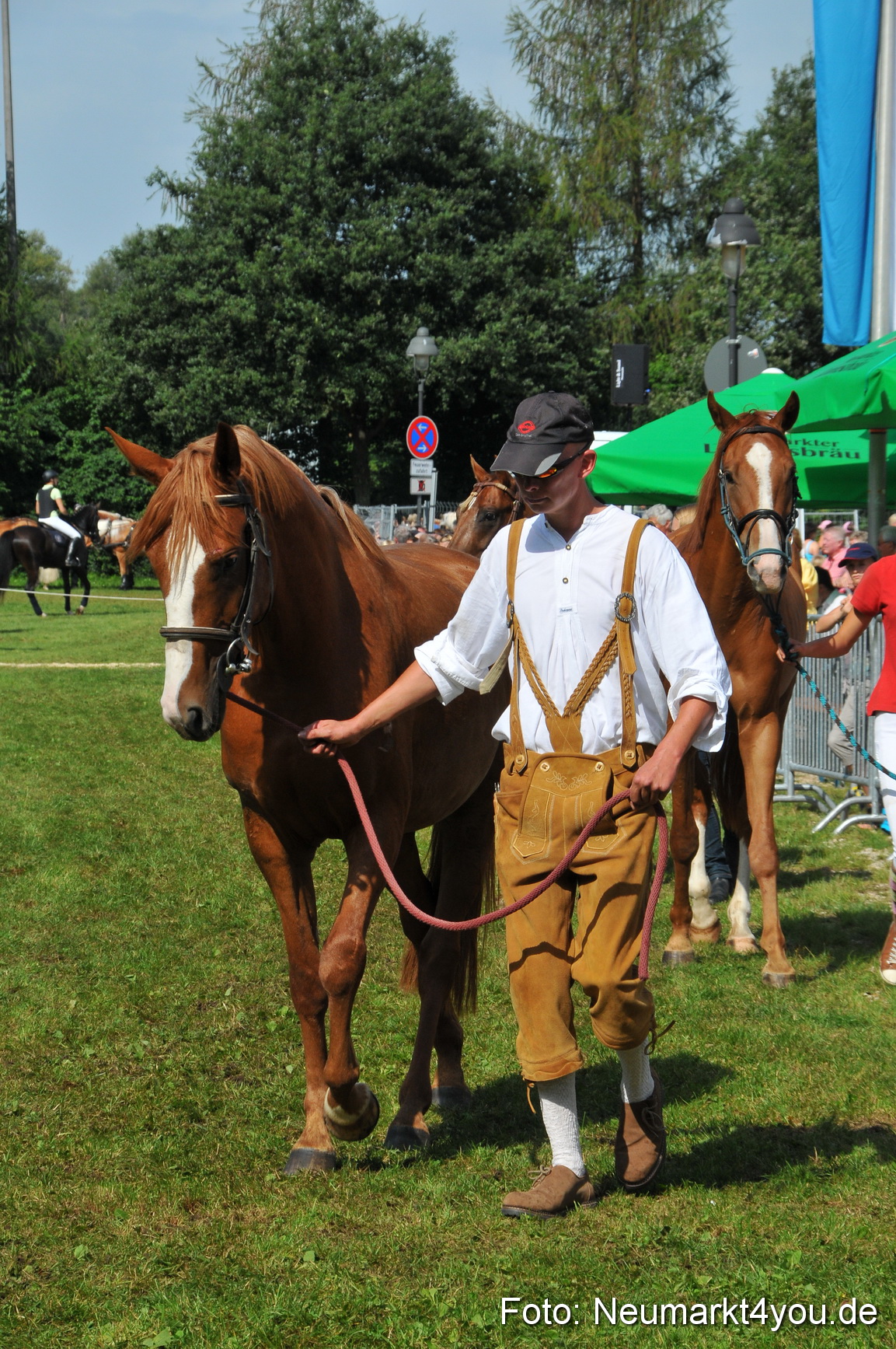 Pferdeschau Neumarkt 220811 0141