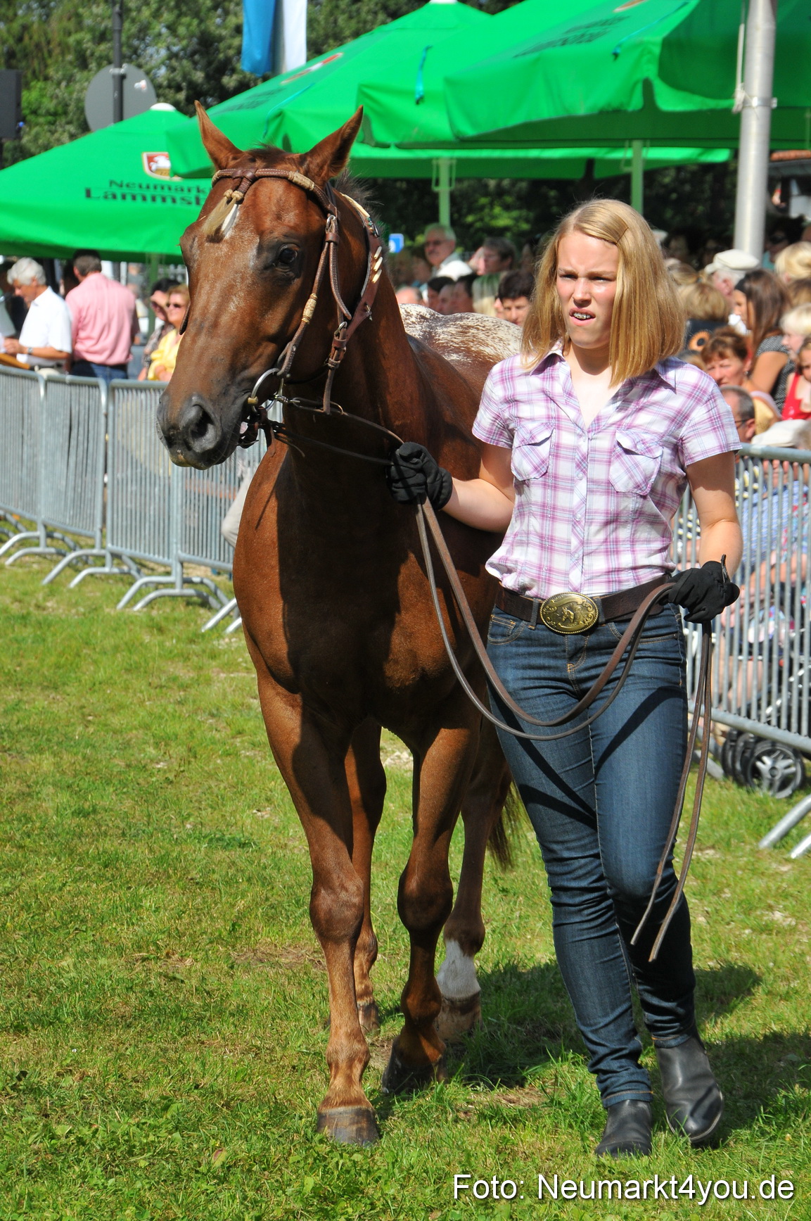 Pferdeschau Neumarkt 220811 0142