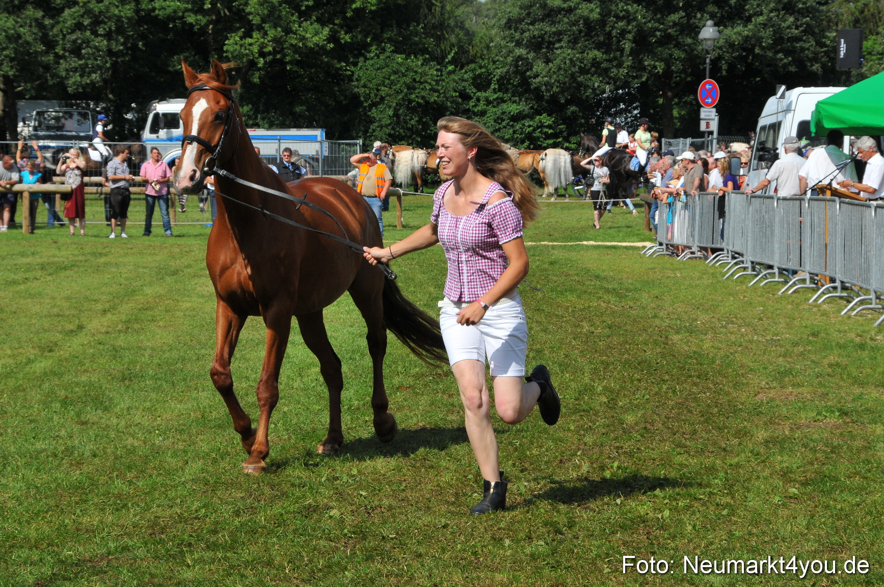 Pferdeschau Neumarkt 220811 0144