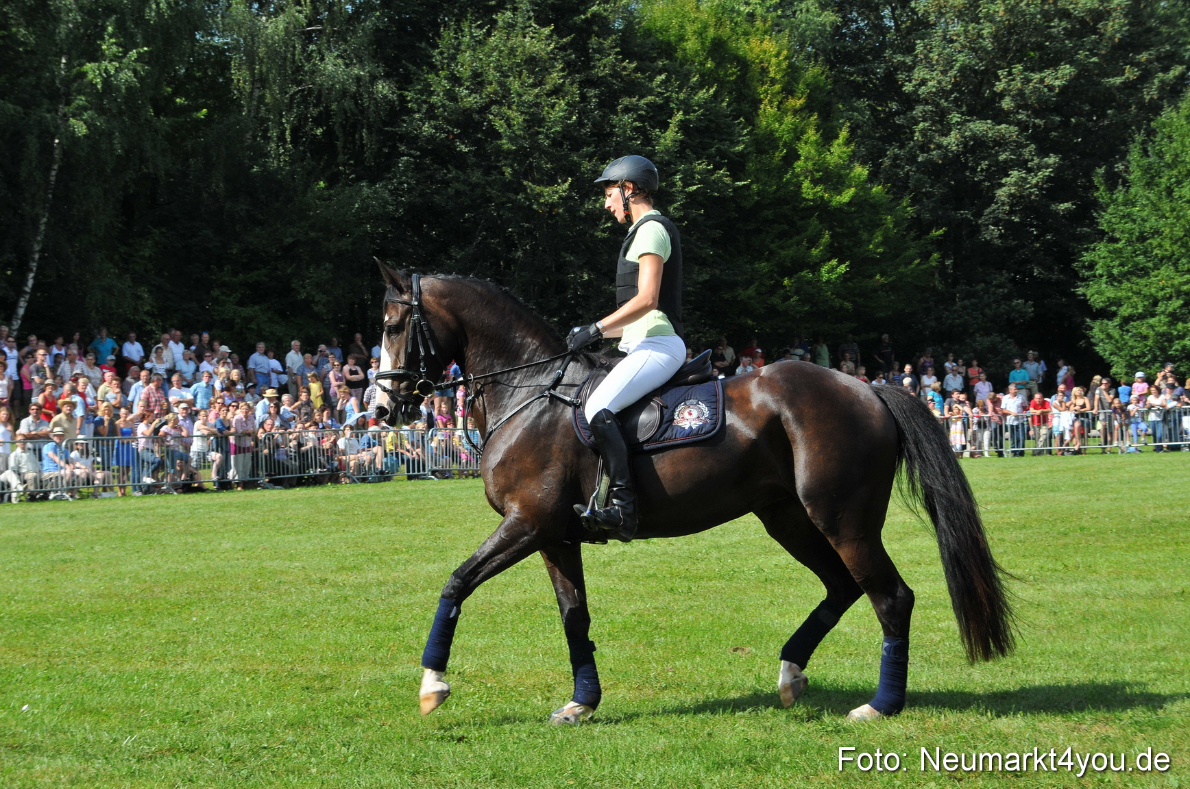 Pferdeschau Neumarkt 220811 0145