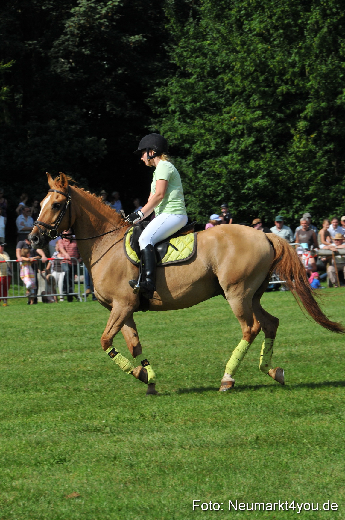 Pferdeschau Neumarkt 220811 0146