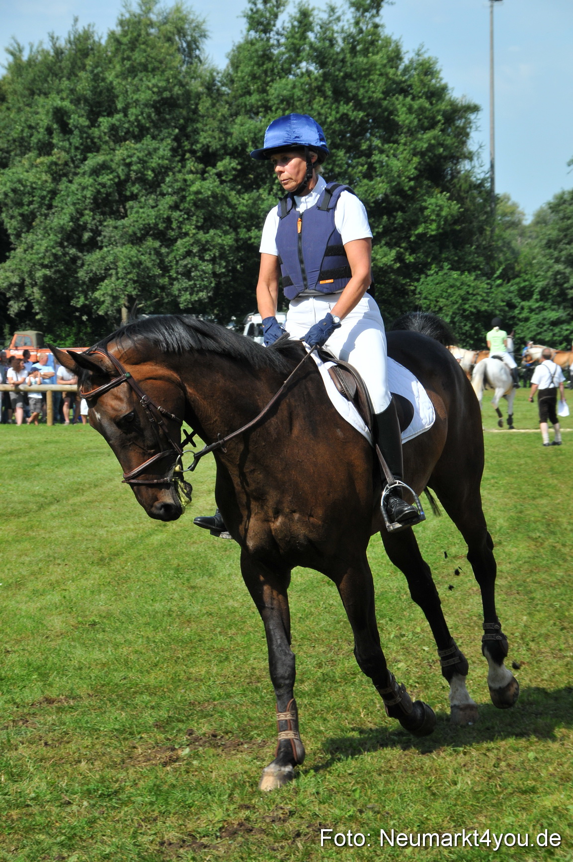 Pferdeschau Neumarkt 220811 0147