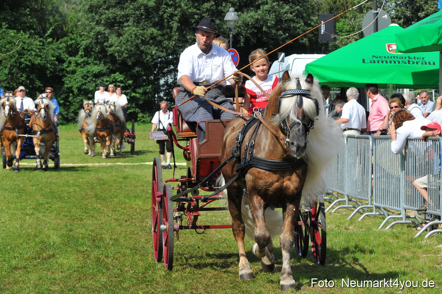 Pferdeschau Neumarkt 220811 0152