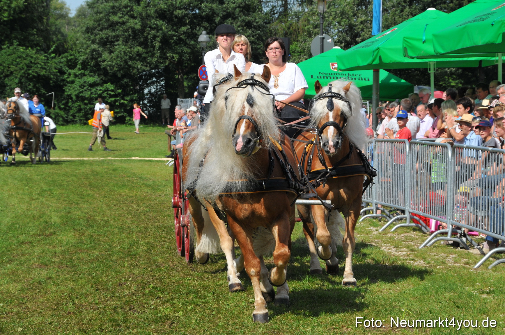Pferdeschau Neumarkt 220811 0153
