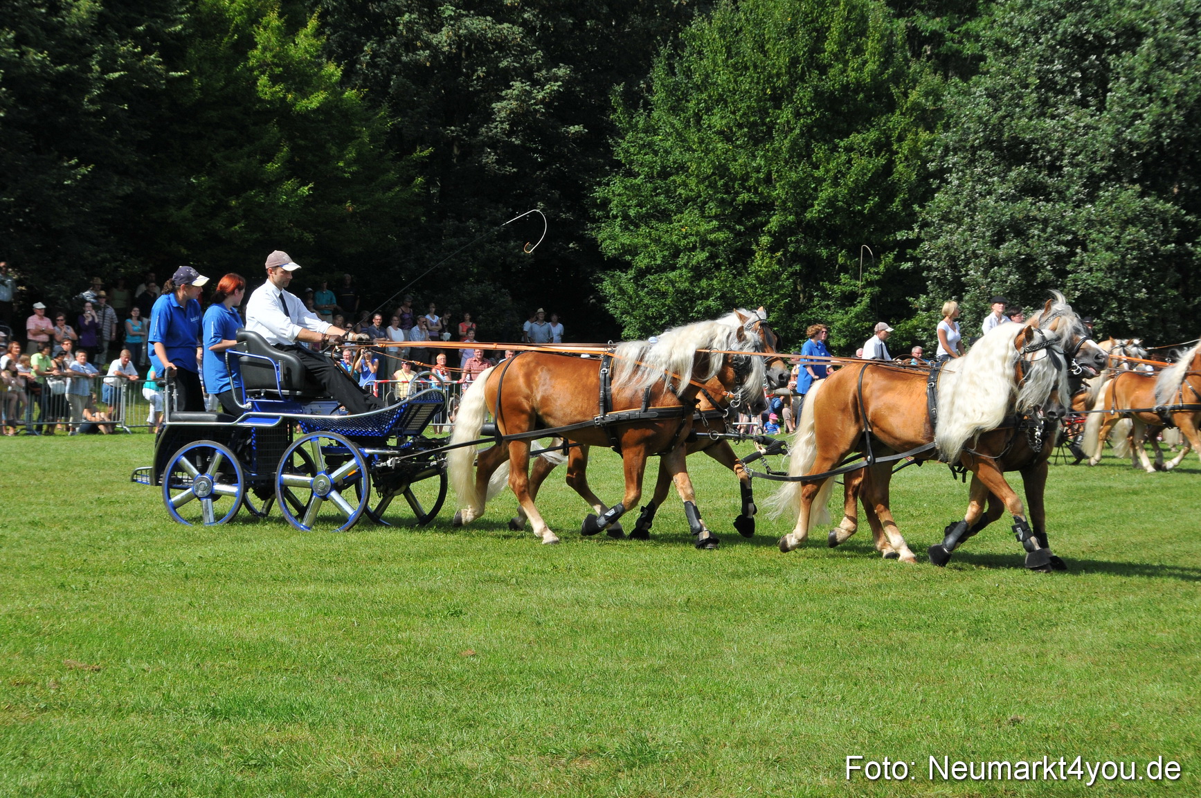 Pferdeschau Neumarkt 220811 0154