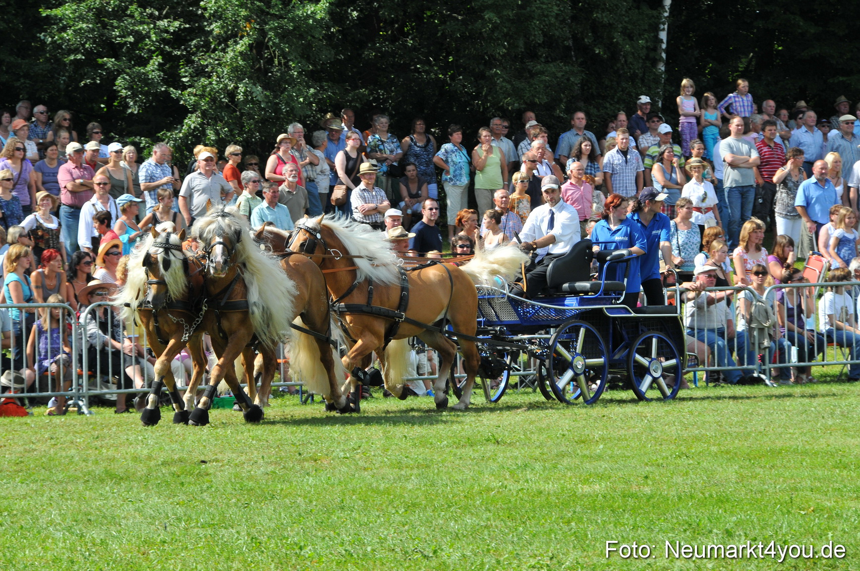 Pferdeschau Neumarkt 220811 0156