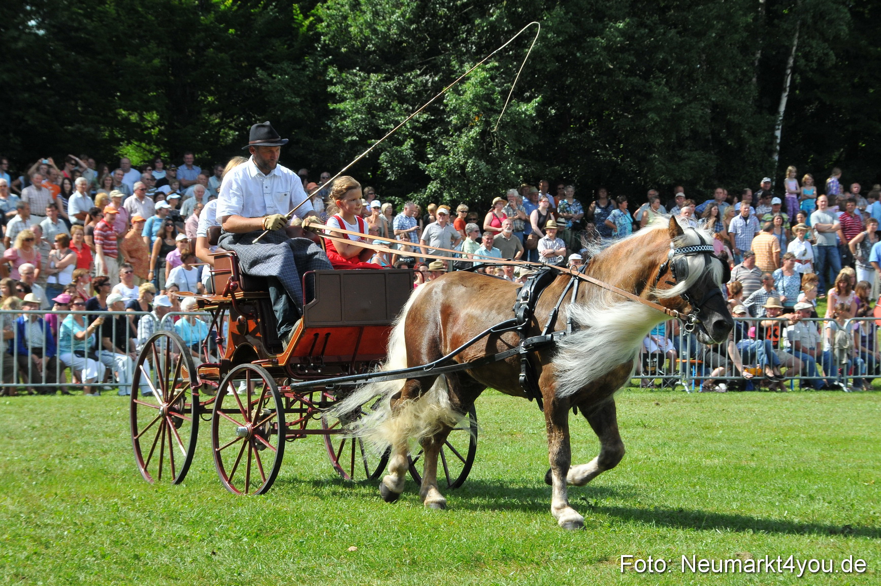 Pferdeschau Neumarkt 220811 0158