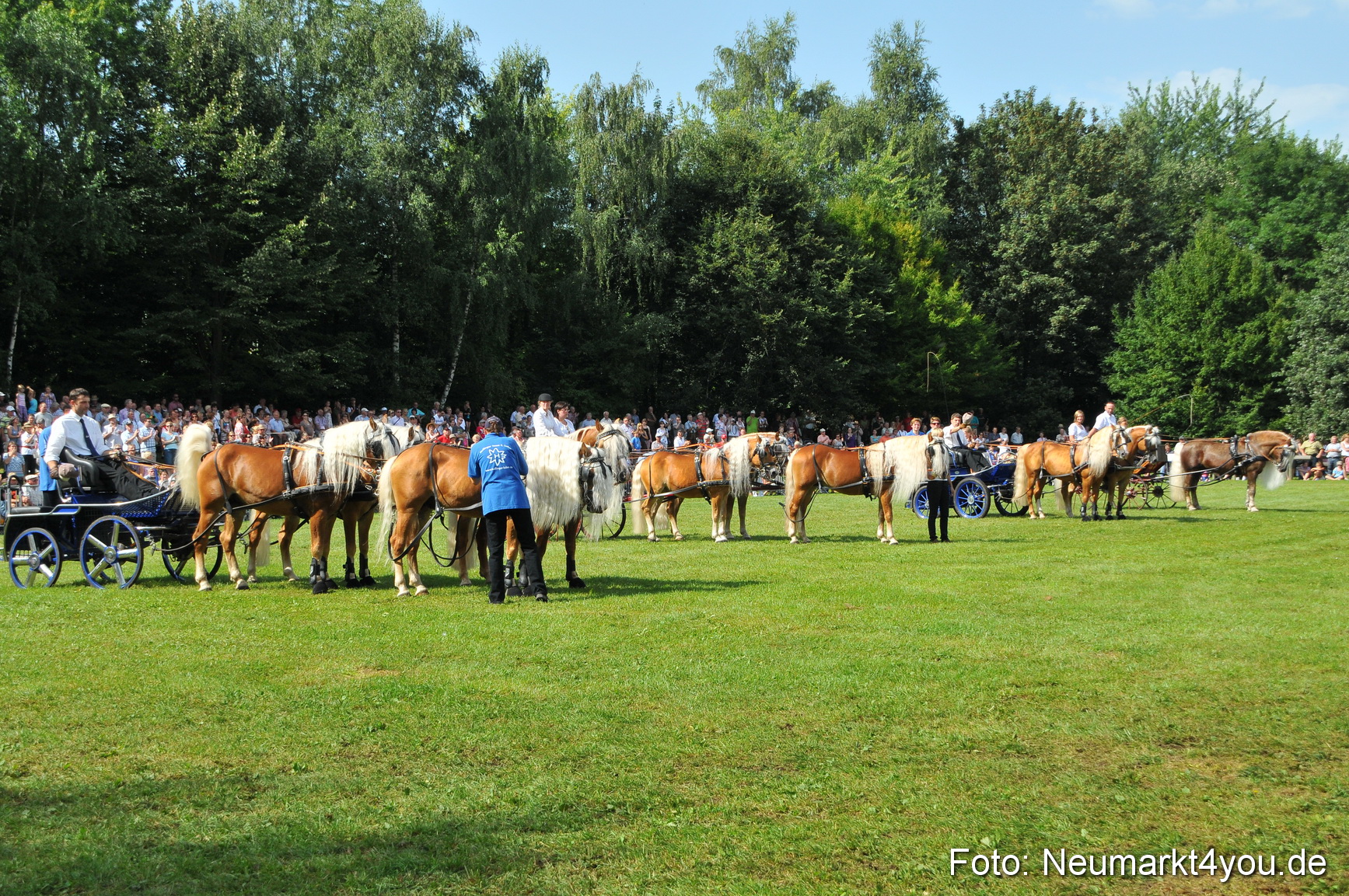 Pferdeschau Neumarkt 220811 0161