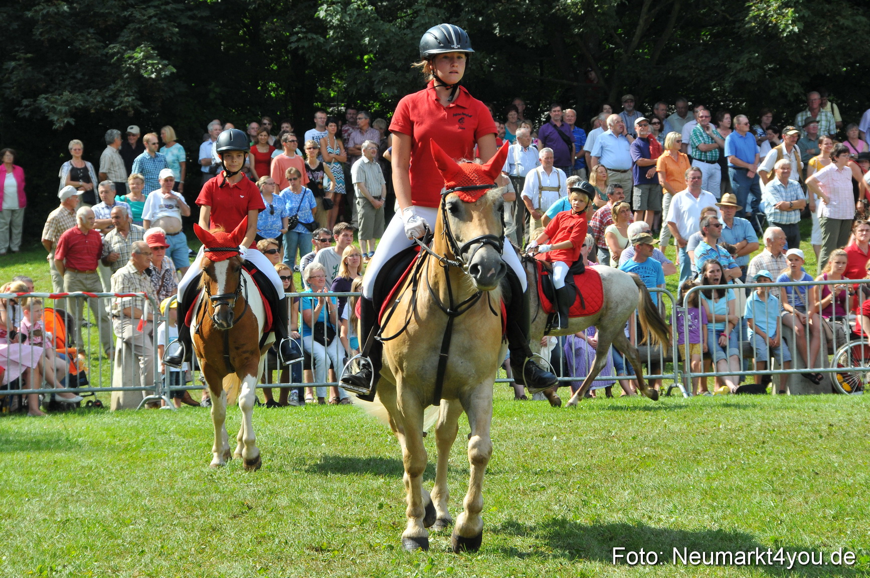 Pferdeschau Neumarkt 220811 0163