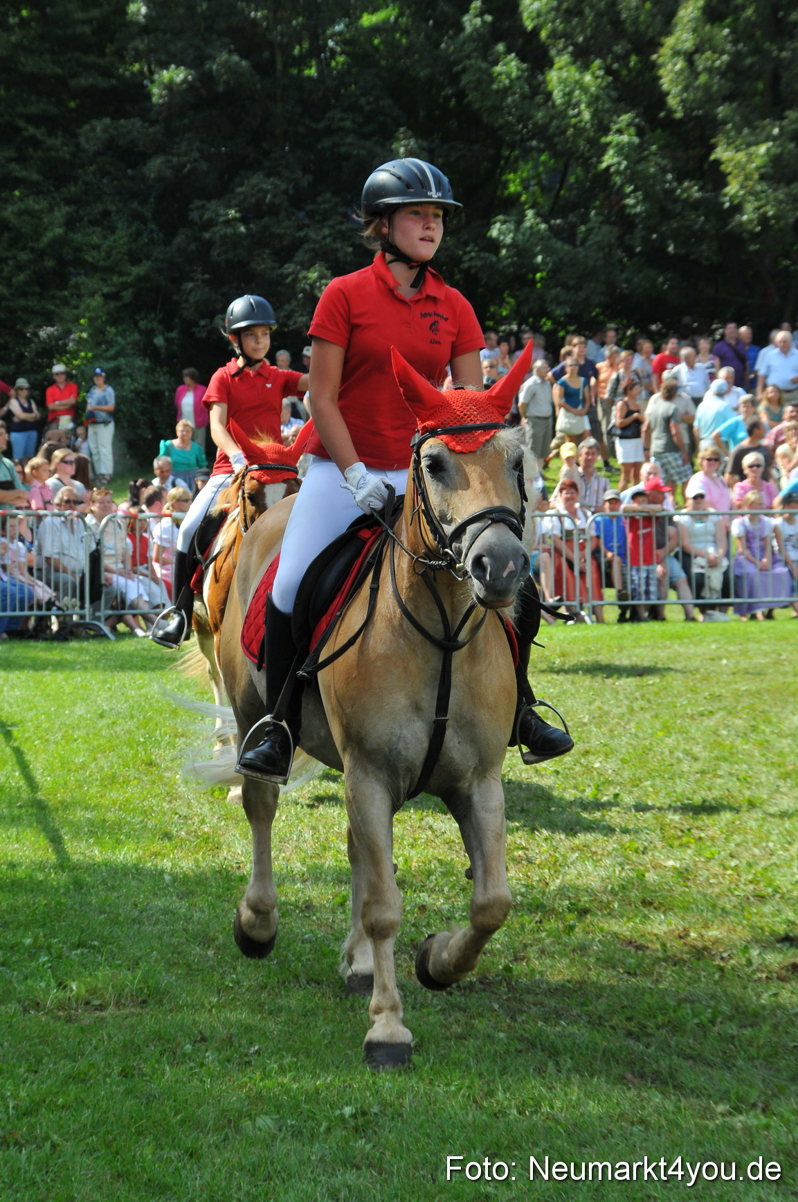 Pferdeschau Neumarkt 220811 0164