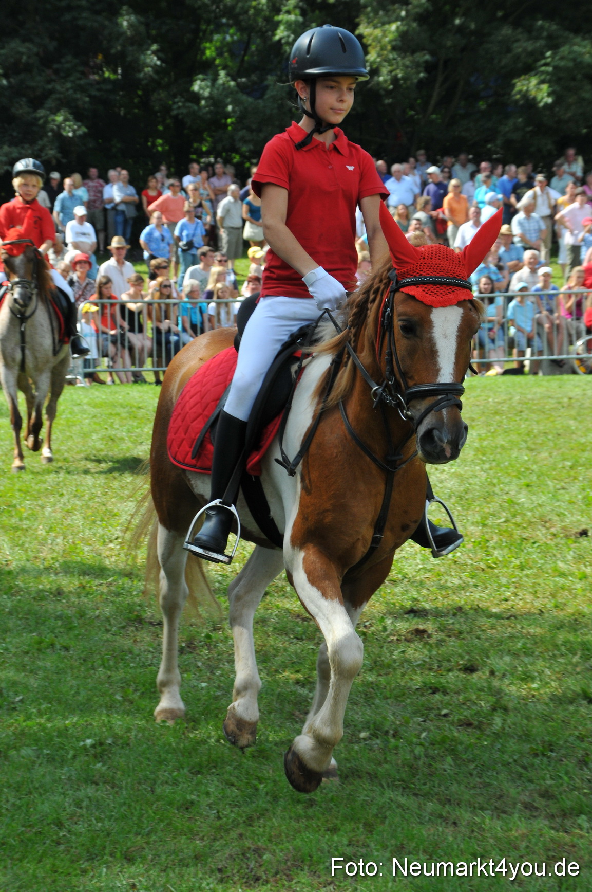 Pferdeschau Neumarkt 220811 0165