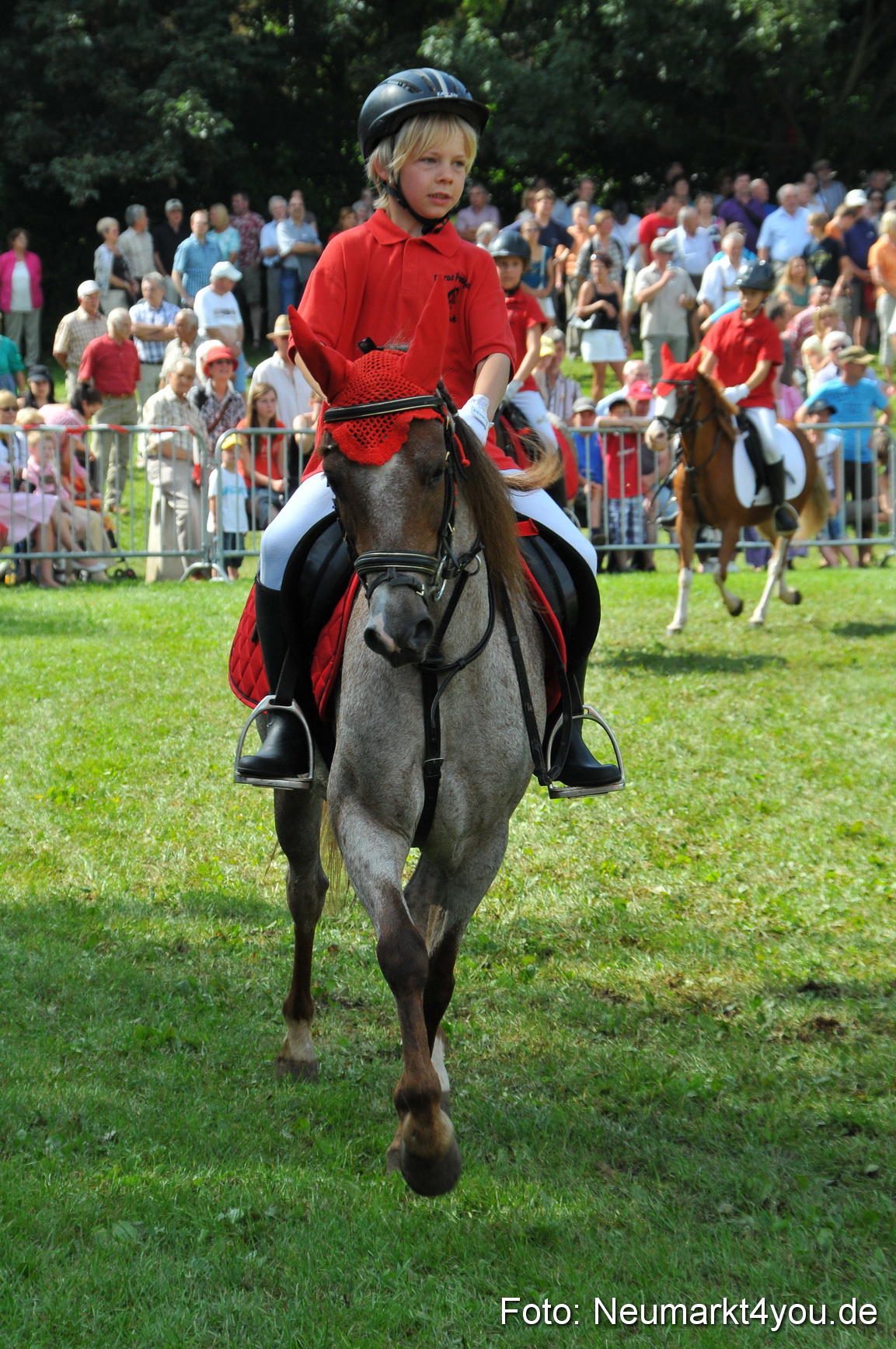 Pferdeschau Neumarkt 220811 0166