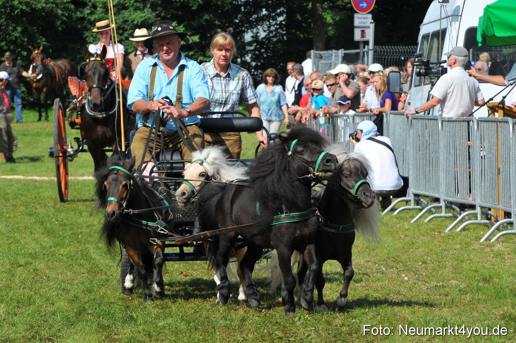 Pferdeschau Neumarkt 220811 0167