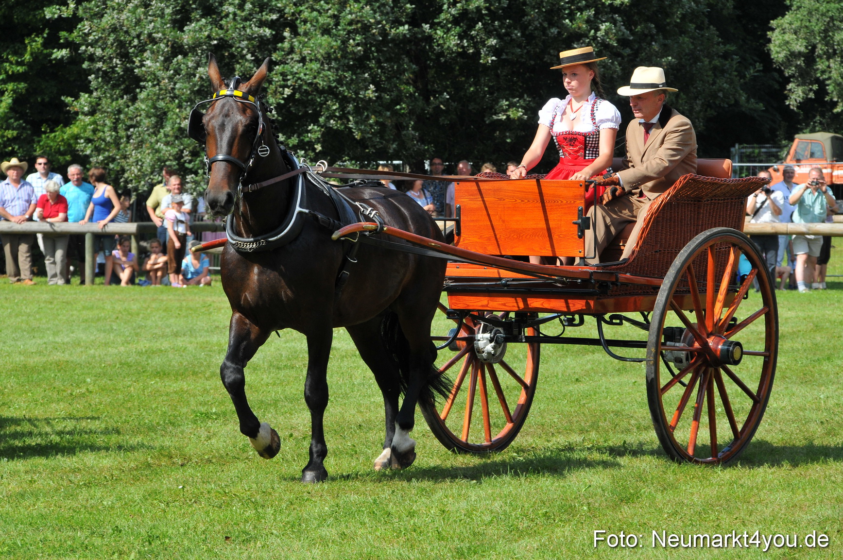 Pferdeschau Neumarkt 220811 0169