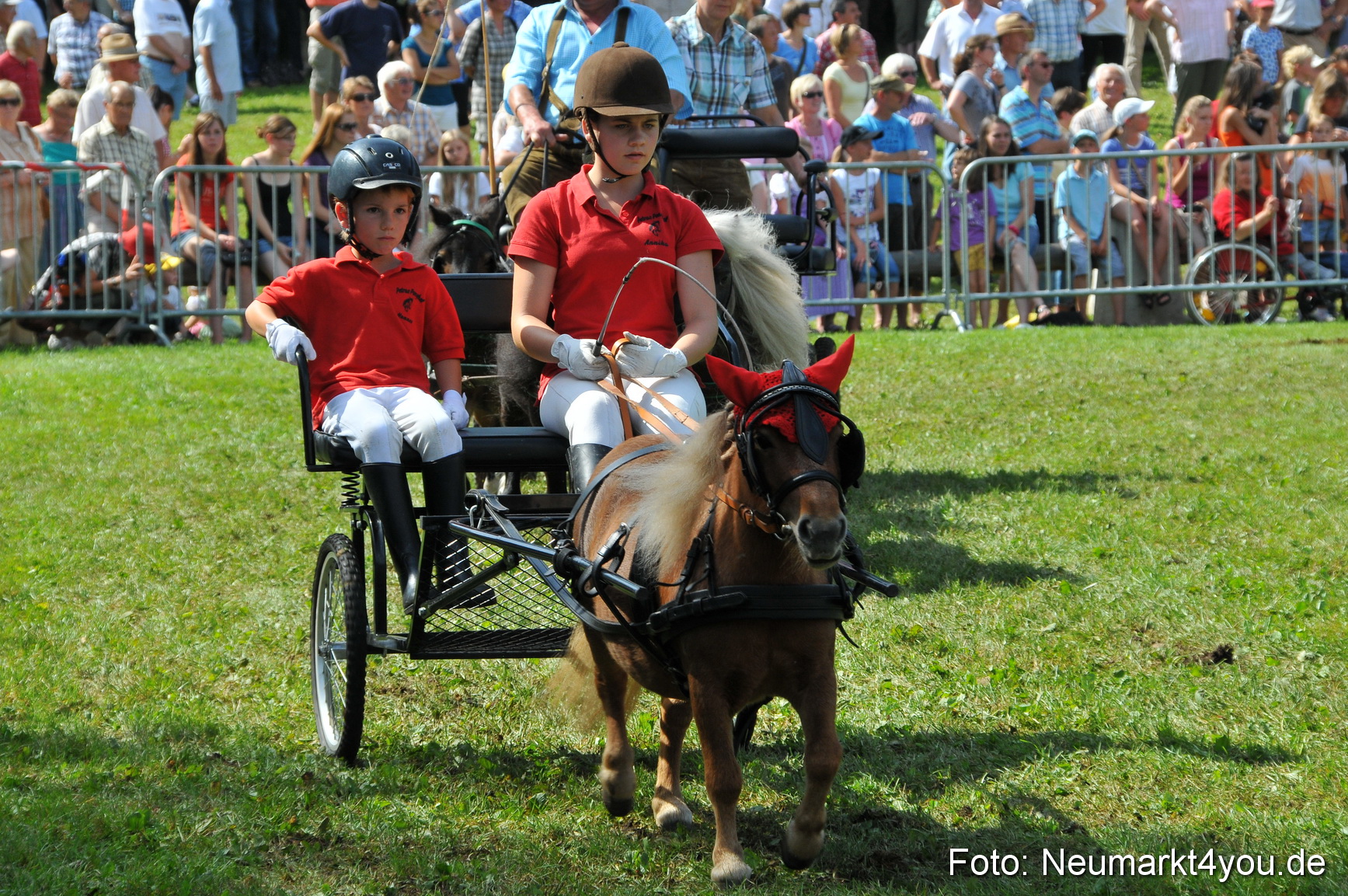 Pferdeschau Neumarkt 220811 0171