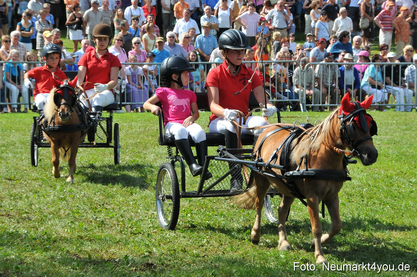 Pferdeschau Neumarkt 220811 0172