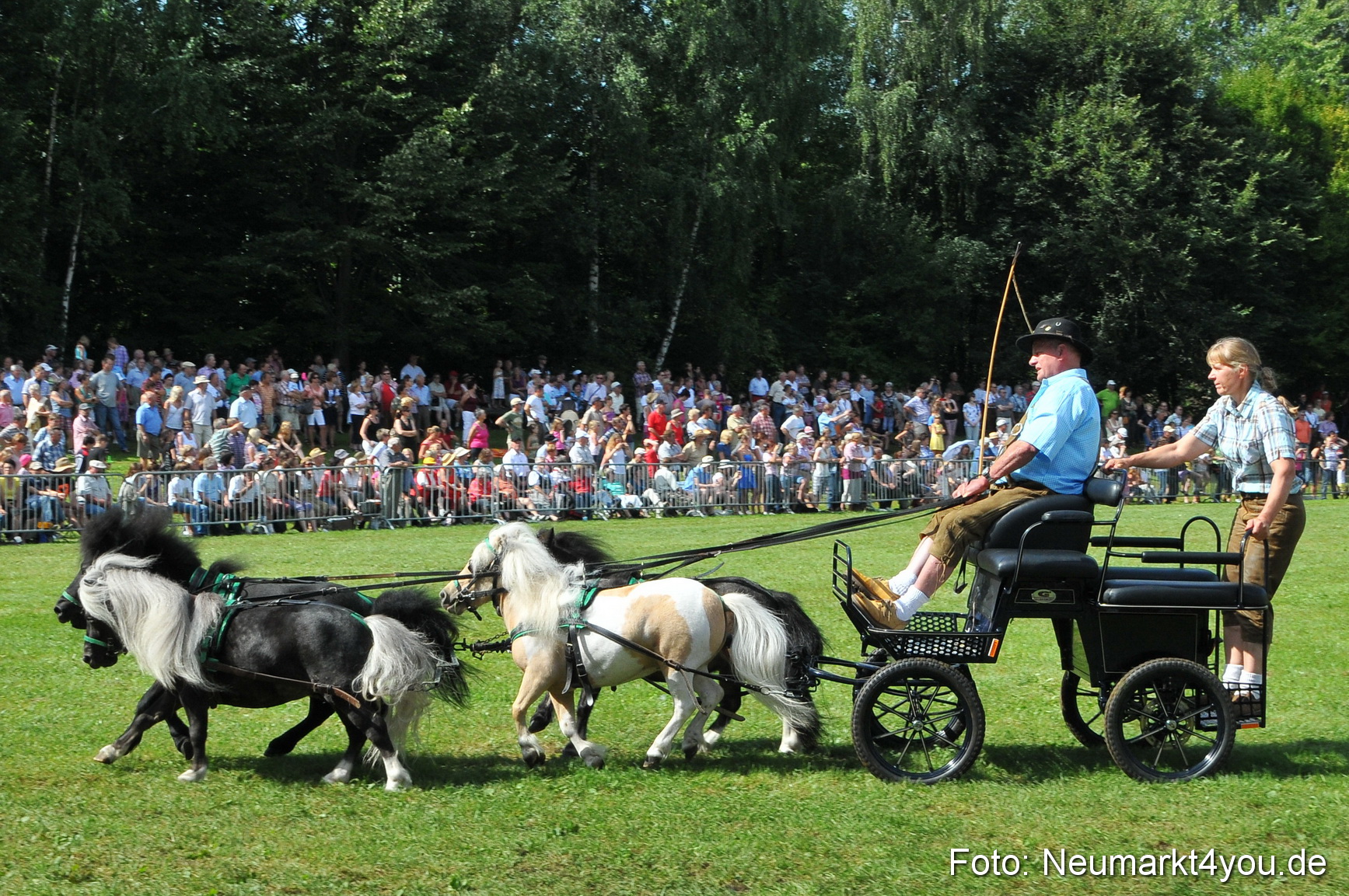 Pferdeschau Neumarkt 220811 0174