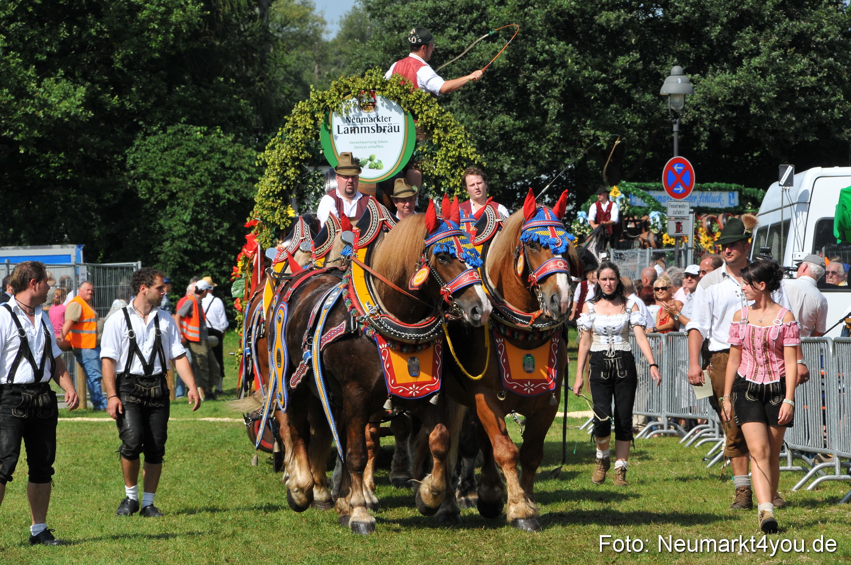 Pferdeschau Neumarkt 220811 0175