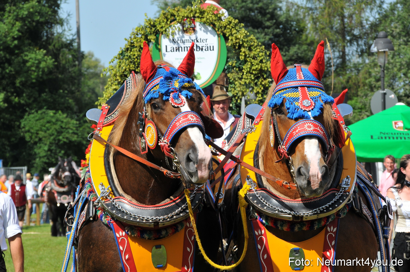 Pferdeschau Neumarkt 220811 0176