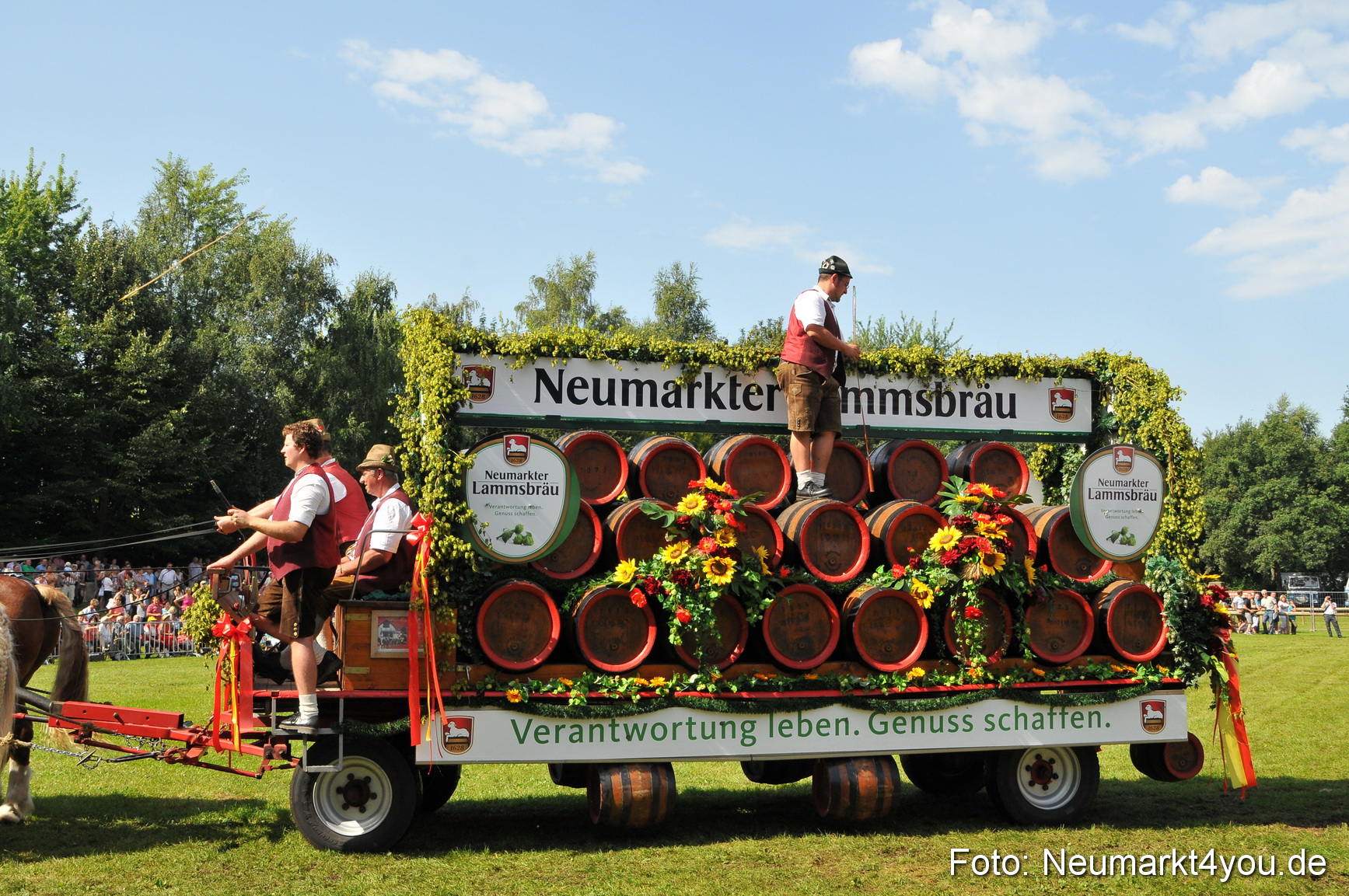 Pferdeschau Neumarkt 220811 0178