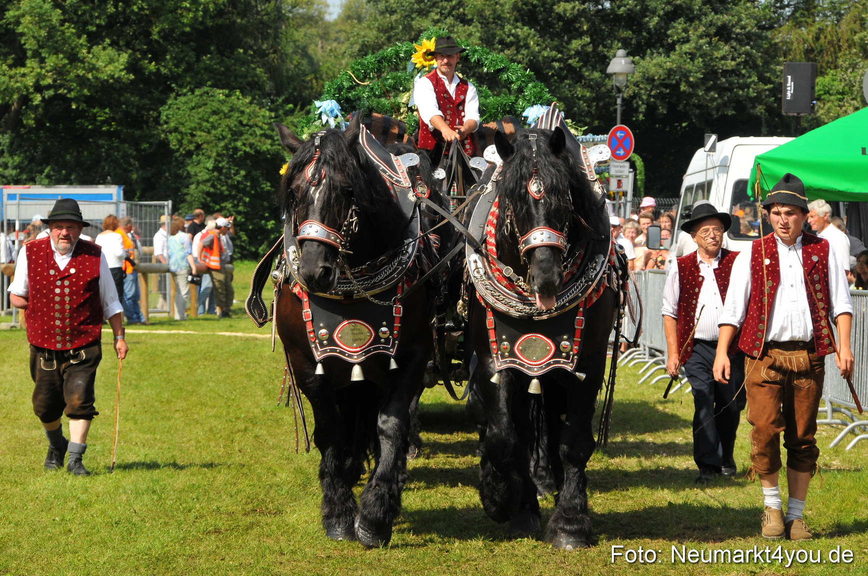 Pferdeschau Neumarkt 220811 0179
